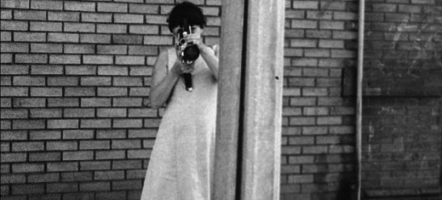 Experimenta 2011 Joyce Wieland Artist in Focus